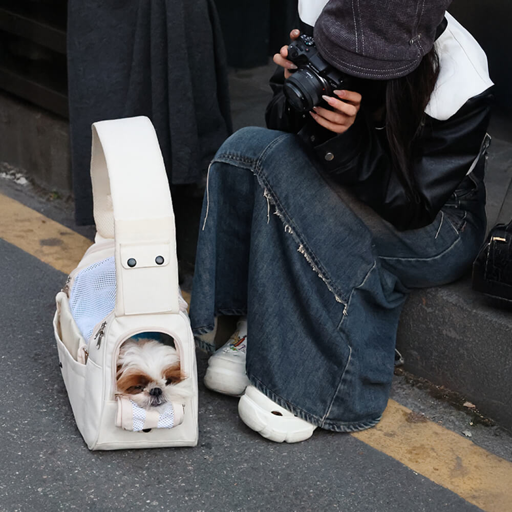 All-Season Ventilated and Lightweight Dog & Cat Carrier Bag